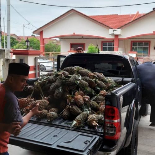 Menerima & Mengagihkan Sumbangan Nenas